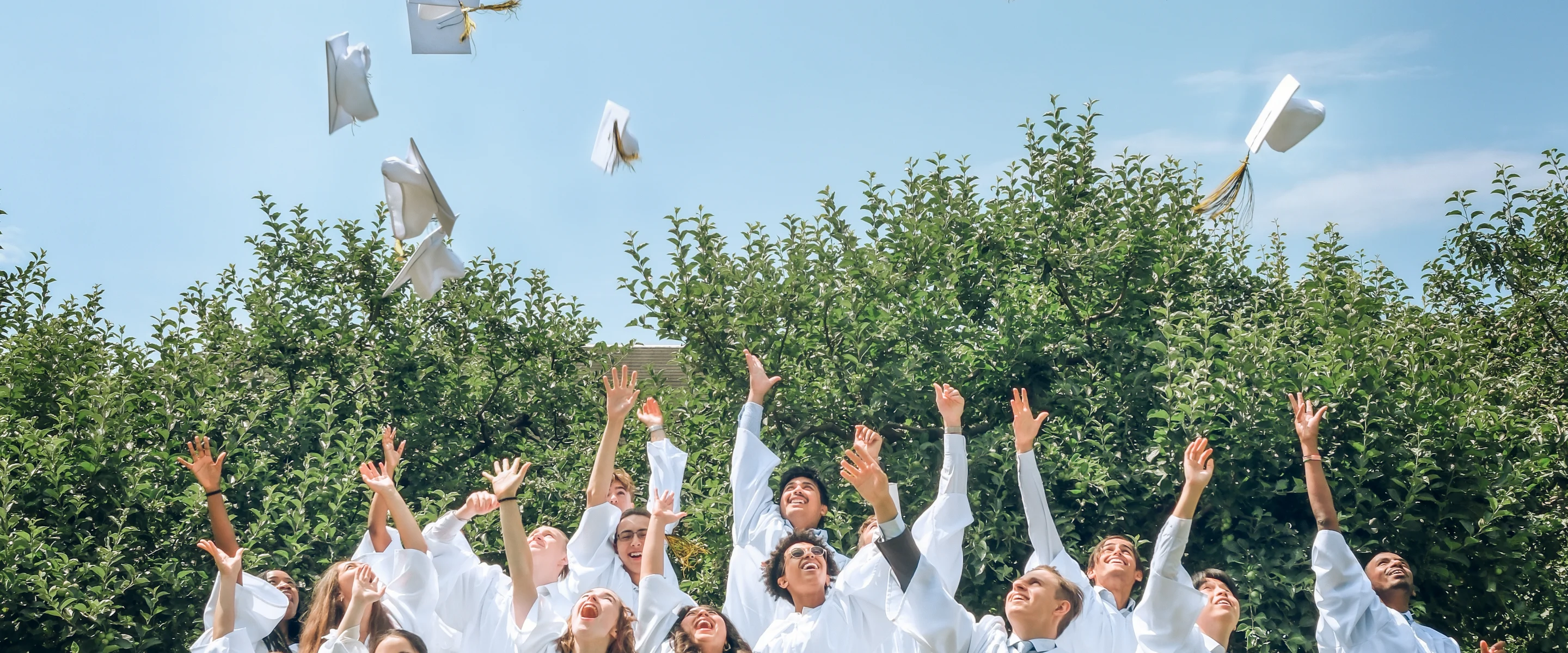 Alumni — Maharishi School