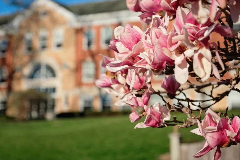 International students gathered together on campus