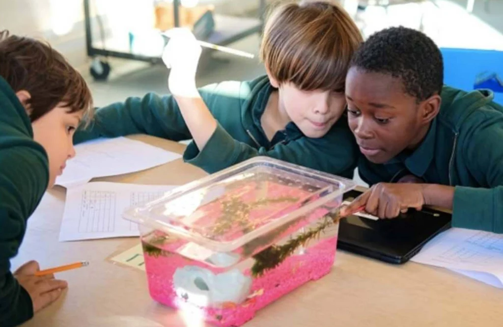 Elementary School students looking at a science experiment