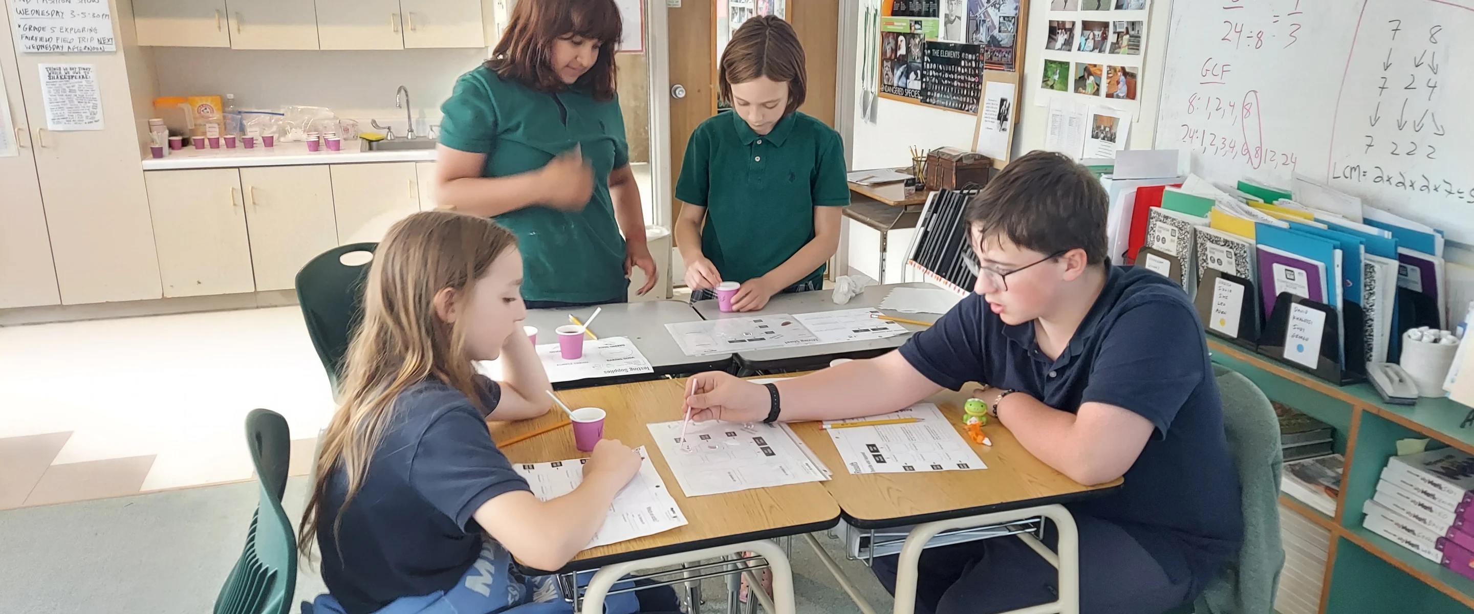 Middle School students working together on a science activity