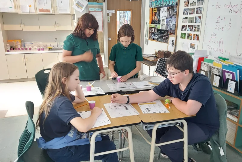 Middle School students working together on a science activity