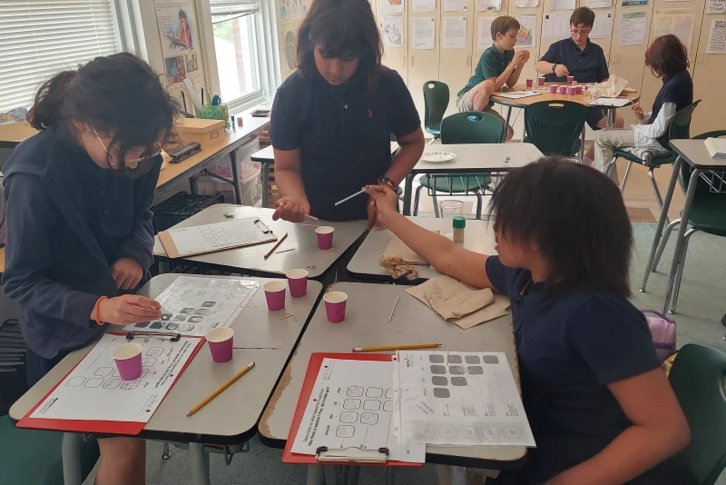 Students working on a hands-on project