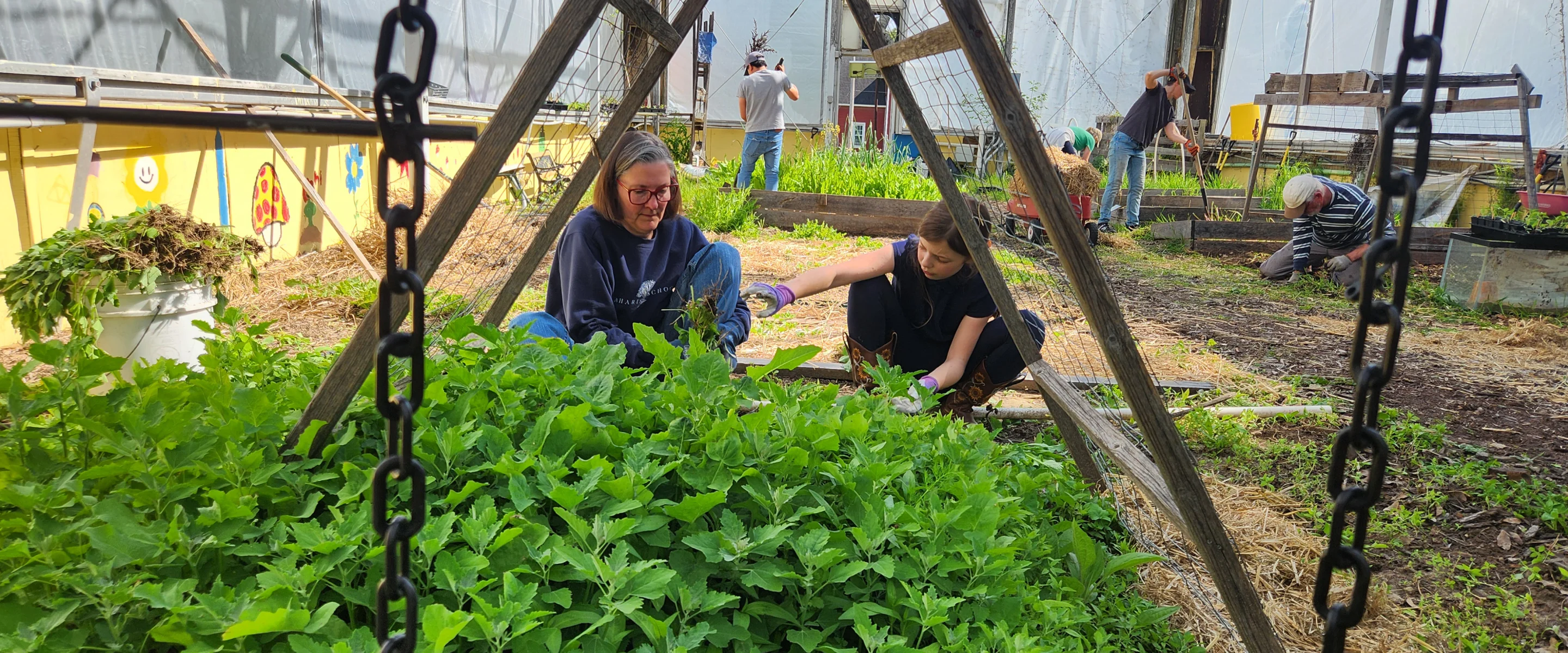 Students working in the school garden