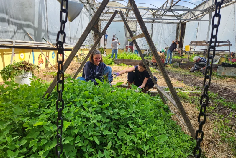 Students working in the school garden