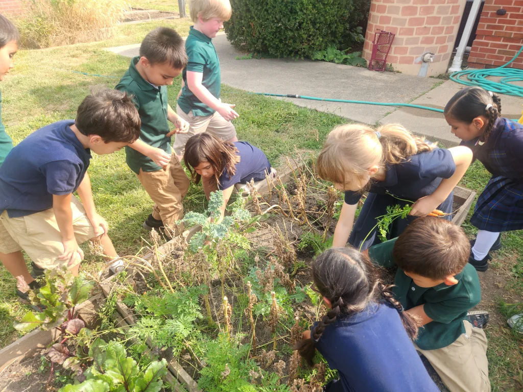 Elementary students gardening together
