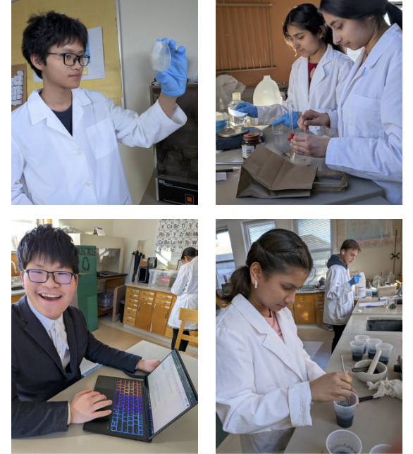 Upper school science fair feb 26