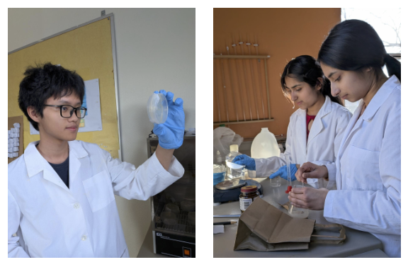 Students in science lab