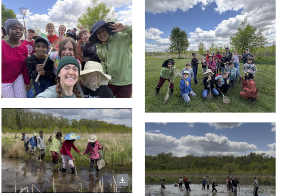 4th graders ecology