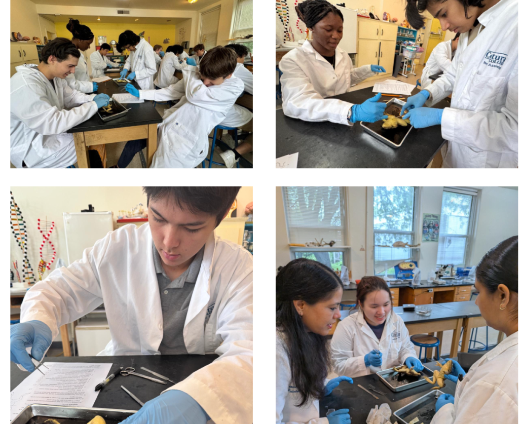 Upper school science lab End of year biology