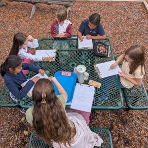 Students outside studying